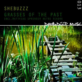 Grasses of the Past by Shebuzzz