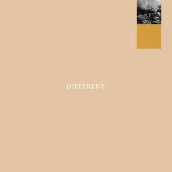 Different by Spencer Annis