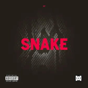 Snake by Kxt