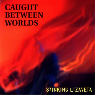 Caught Between Worlds by Stinking Lizaveta