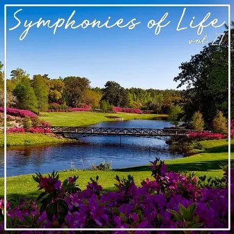 Symphonies of Life, Vol. 27 - The Symphonies Nos 10 Vol. 2 by Arutjun Kotchinian