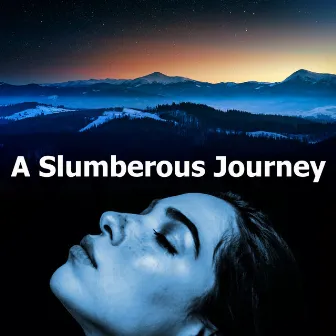 A Slumberous Journey by Technical Sleep