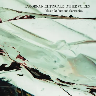 Other Voices by Lamorna Nightingale