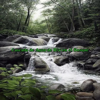 Cascada de Agua de Río en el Bosque by Cascada en el Bosque