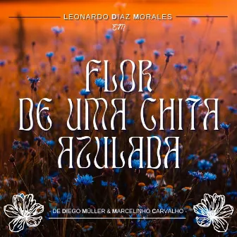 Flor de uma Chita Azulada by Marcelinho Carvalho