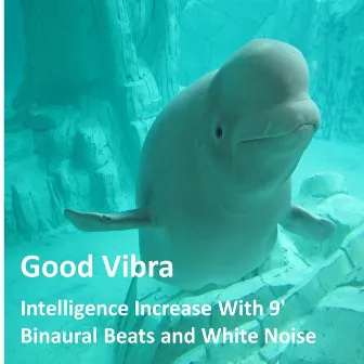 Intelligence Increase With 9' Binaural Beats and White Noise by Goodvibra