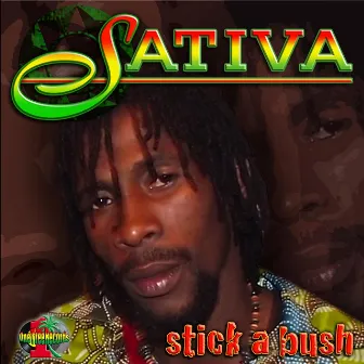 Stick a Bush by Sativa