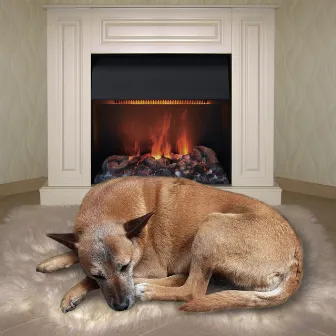 Zen Fire Paws: Chill Tunes for Relaxed Dogs by Fireplace Sample Master