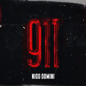 911 by Nico Domini