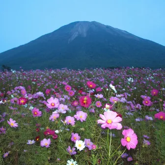 The flower garden by Hallelujah