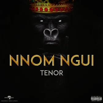 Nnom Ngui by Tenor