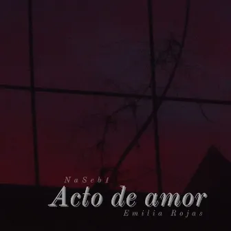 Acto de amor by 