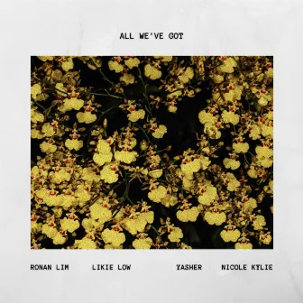 All We've Got by Likie Low