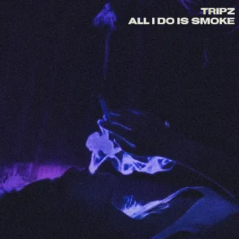 All I Do Is Smoke by Tripz