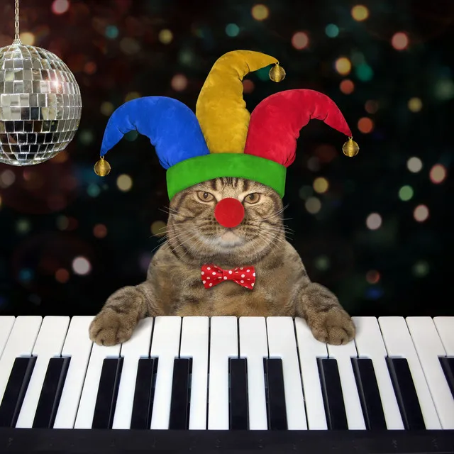 Feline Elegance: Piano for Cats