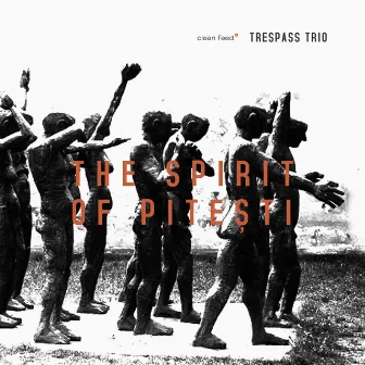 The Spirit of Pitesti by Trespass Trio