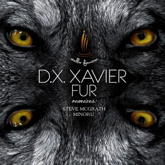 Fur by D.X.Xavier