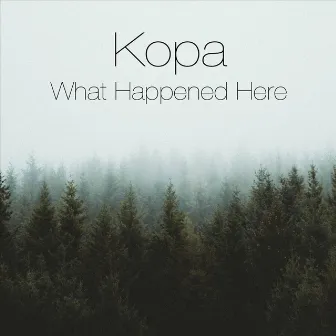 What Happened Here by Kopa