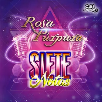 Rosa Purpura by Siete Notas