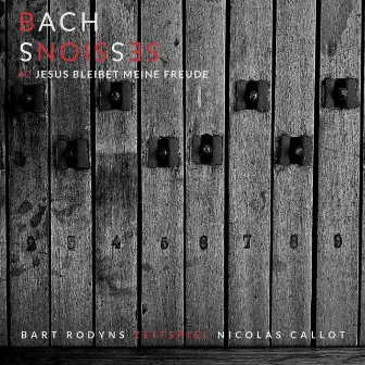 J.S. Bach: Jesus bleibet meine Freude, BWV 147 by Bart Rodyns