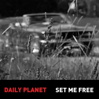 Set Me Free by Daily Planet