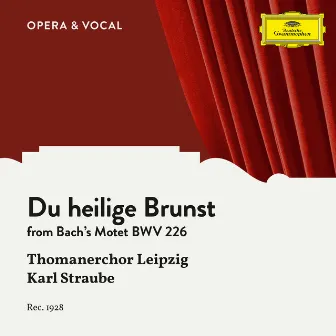 J.S. Bach: Du heilige Brunst by Karl Straube