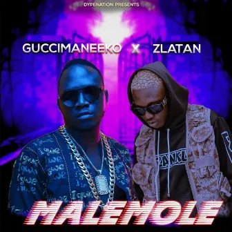 Malemole by Guccimaneeko