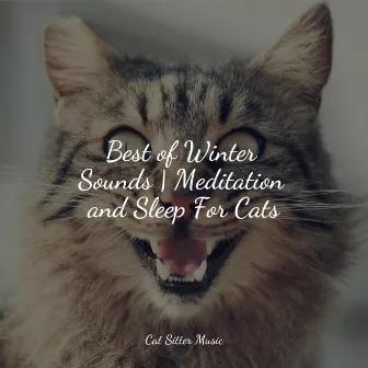 Best of Winter Sounds | Meditation and Sleep For Cats by Music for Cats Peace