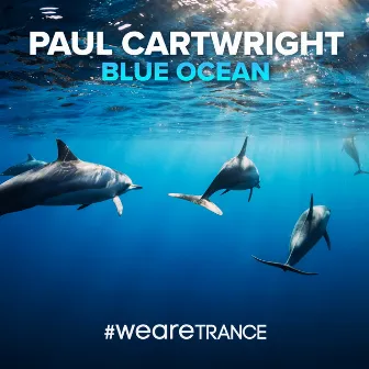 Blue Ocean by Paul Cartwright