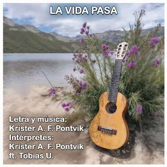 LA VIDA PASA by Krister A.F. Pontvik