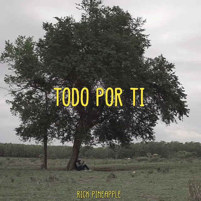 Todo por ti