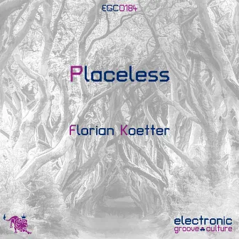 Placeless by Florian Koetter