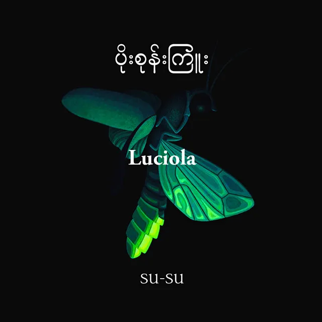 Luciola