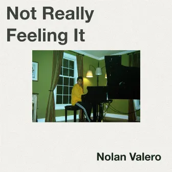 Not Really Feeling It by Nolan Valero