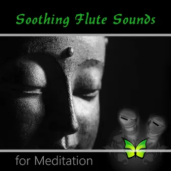 Soothing Flute Sounds for Meditation - Pure Nature Relaxing Sounds for Yoga, Music for Massage, Spa & Reiki Healing by Irish Flute Music Universe