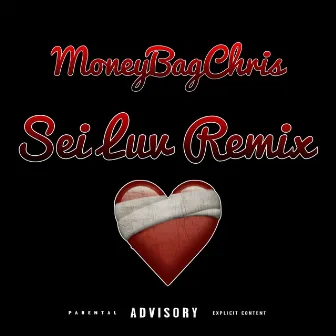 Sei Luv (Remix) by MoneyBagChris