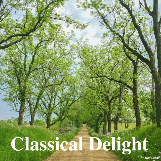 Classical Delight