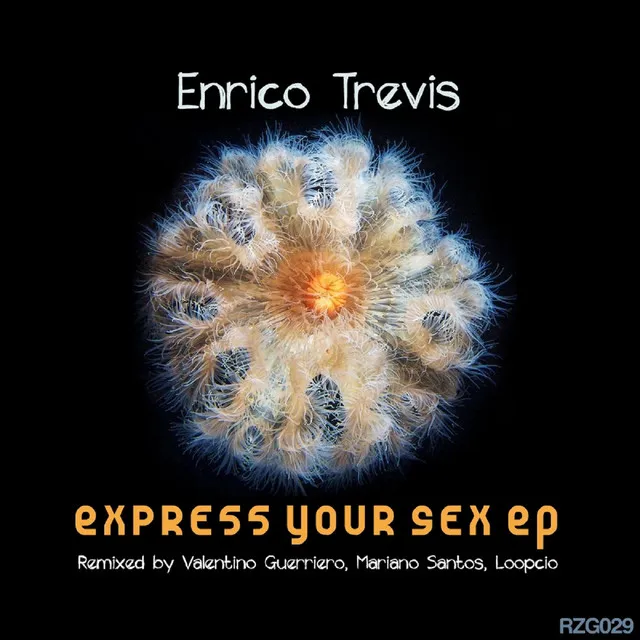 Express Your Sex - Original Mix