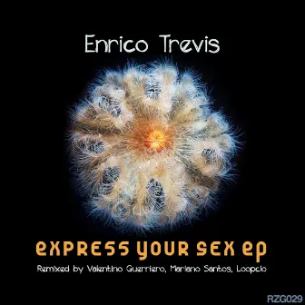 Express Your Sex by Enrico Trevis