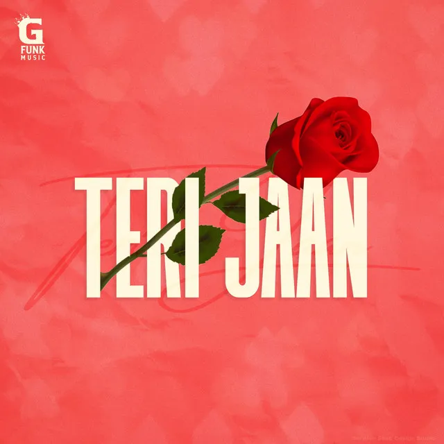 Teri Jaan