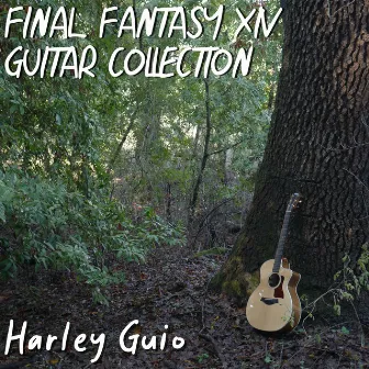 Final Fantasy XIV Guitar Collection by Harley Guio