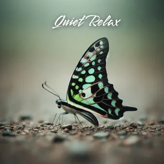 Quiet Relax: Nostalgic Piano Instrumental Music by Beautiful Relaxing Piano Ensemble