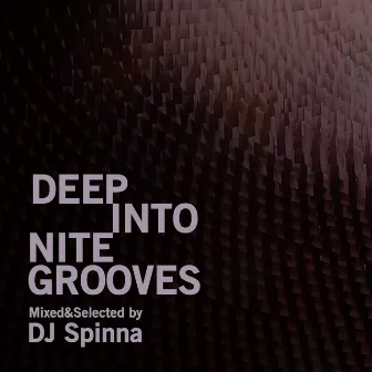 Deep Into Nite Grooves (DJ Mix) by DJ Spinna