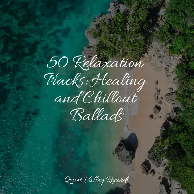 50 Relaxation Tracks: Healing and Chillout Ballads