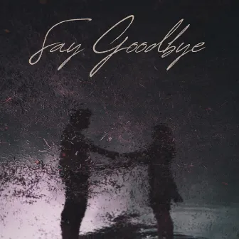 Say Goodbye by Babytakeoff