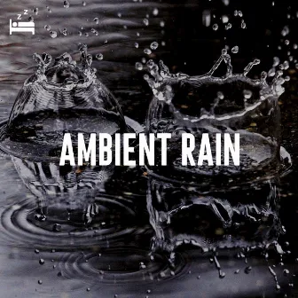 Ambient Rain by Unknown Artist