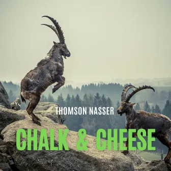 Chalk and Cheese (Freestyle) by Thomson Nasser