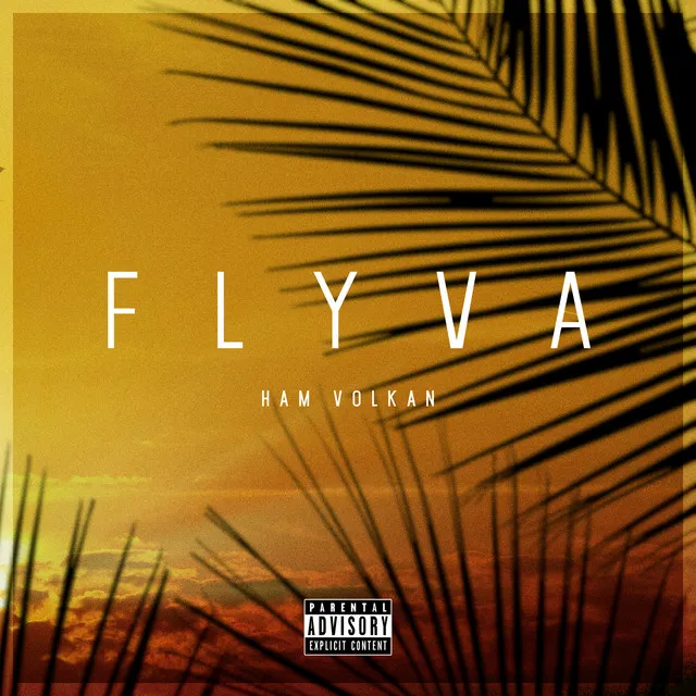 Flyva