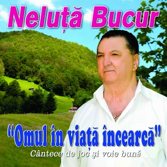 Omul In Viata Incearca by Neluta Bucur