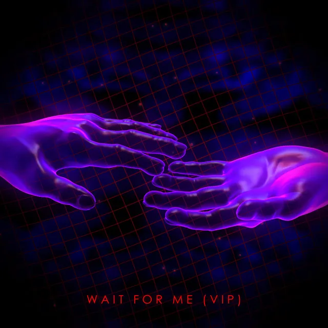 Wait for Me - VIP Mix